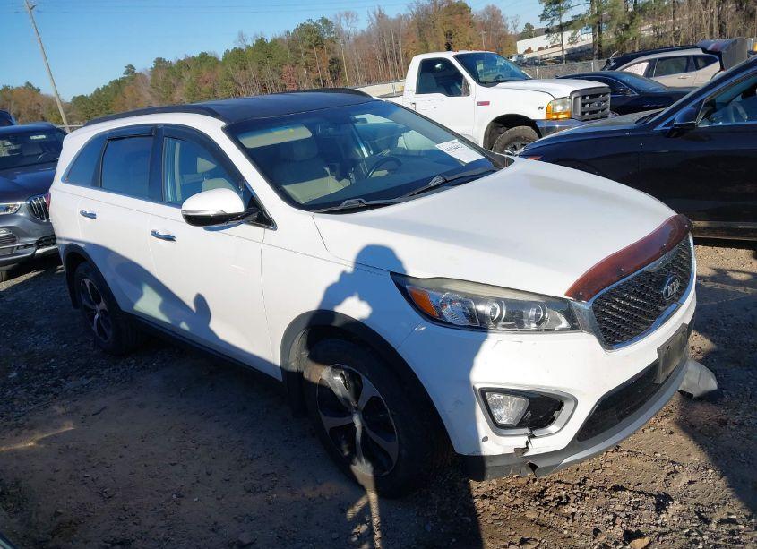 2016 Kia Sorento 2.0T EX (VIN 5XYPH4A14GG134486) main photo