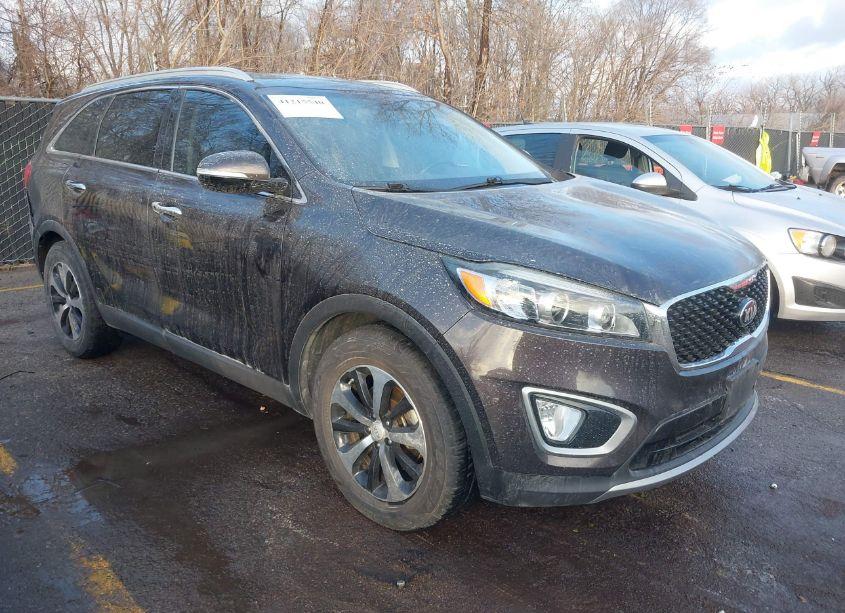 2017 Kia Sorento 2.0T EX (VIN 5XYPH4A14HG295048) main photo