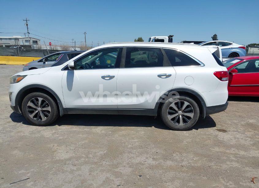 Photo 14 of 2016 Kia Sorento 2.0T EX (VIN 5XYPH4A16GG126972)