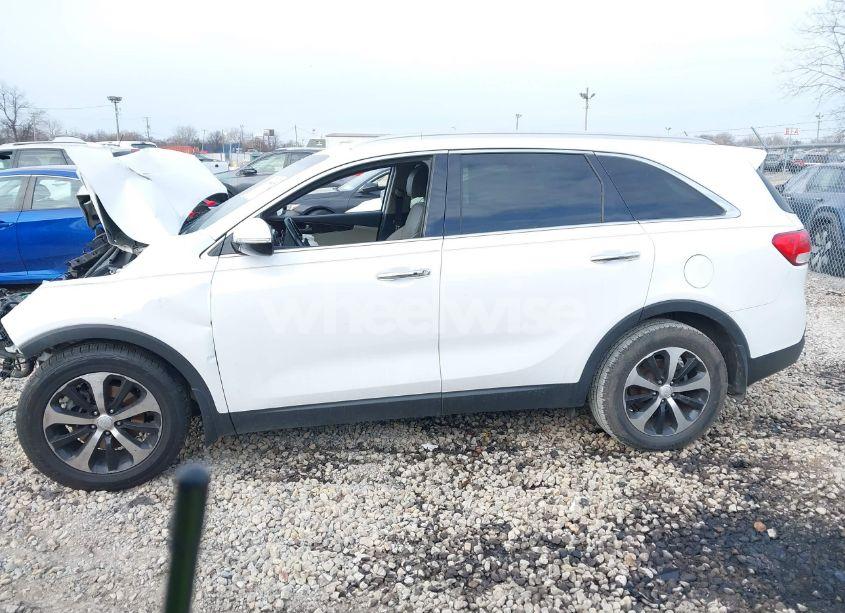 Photo 14 of 2017 Kia Sorento 2.0T EX (VIN 5XYPH4A19HG275717)