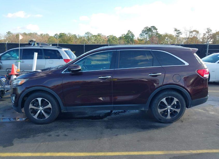 Photo 14 of 2016 Kia Sorento 3.3L EX (VIN 5XYPH4A50GG063015)