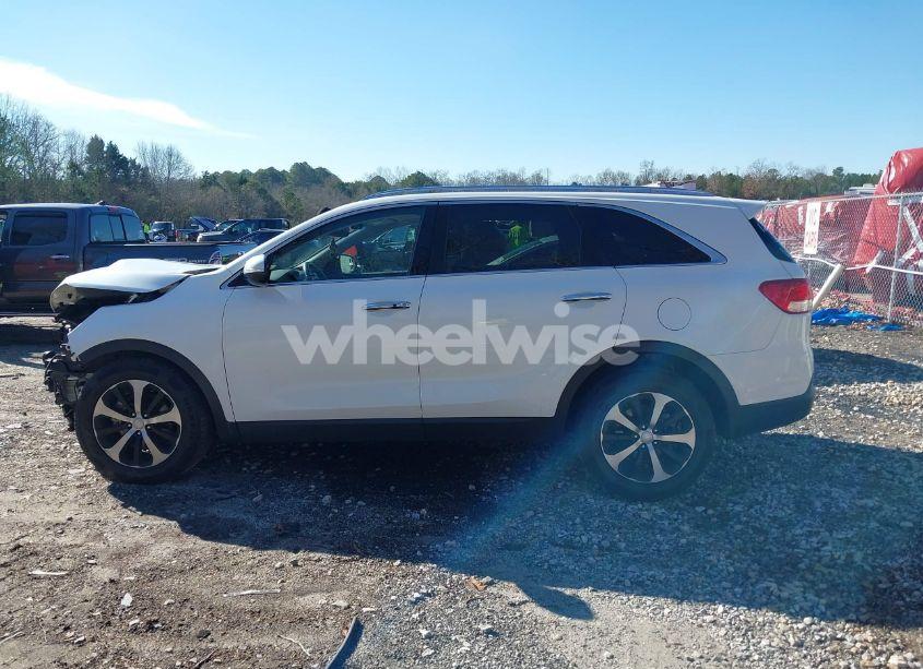 Photo 14 of 2016 Kia Sorento 3.3L EX (VIN 5XYPH4A51GG119981)