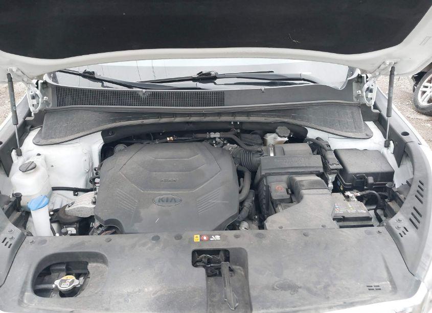 Photo 10 of 2020 Kia Sorento 3.3L EX (VIN 5XYPH4A54LG706380)