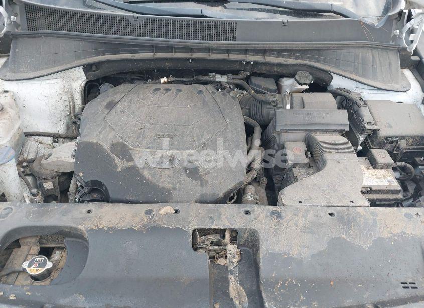 Photo 10 of 2019 Kia Sorento 3.3L EX (VIN 5XYPH4A55KG498248)