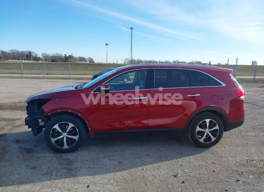 Photo 14 of 2016 Kia Sorento 3.3L EX (VIN 5XYPH4A56GG105722)