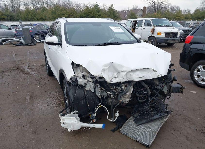 2017 Kia Sorento 3.3L EX (VIN 5XYPH4A57HG203255) main photo