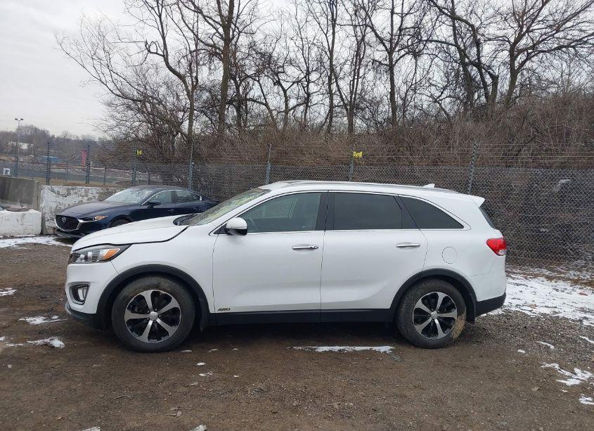 Photo 14 of 2016 Kia Sorento 2.0T EX (VIN 5XYPHDA11GG010837)