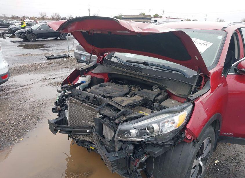 Photo 10 of 2017 Kia Sorento 2.0T EX (VIN 5XYPHDA11HG253503)