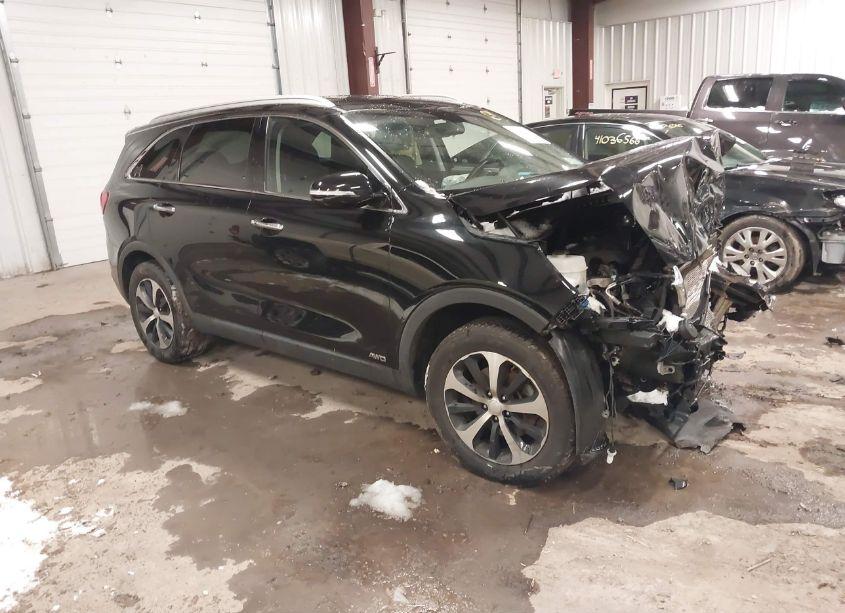 2017 Kia Sorento 2.0T EX (VIN 5XYPHDA17HG263064) main photo