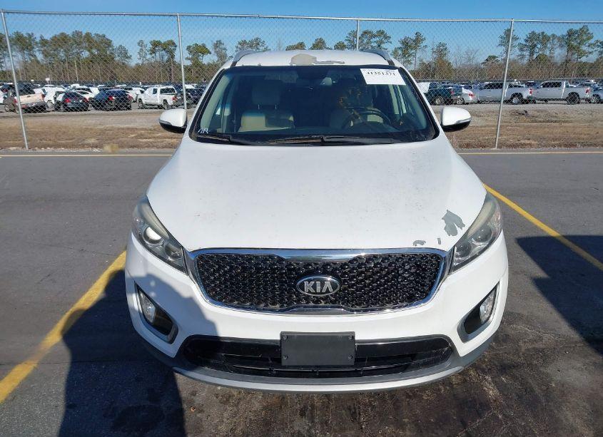 Photo 12 of 2016 Kia Sorento 3.3L EX (VIN 5XYPHDA53GG124681)