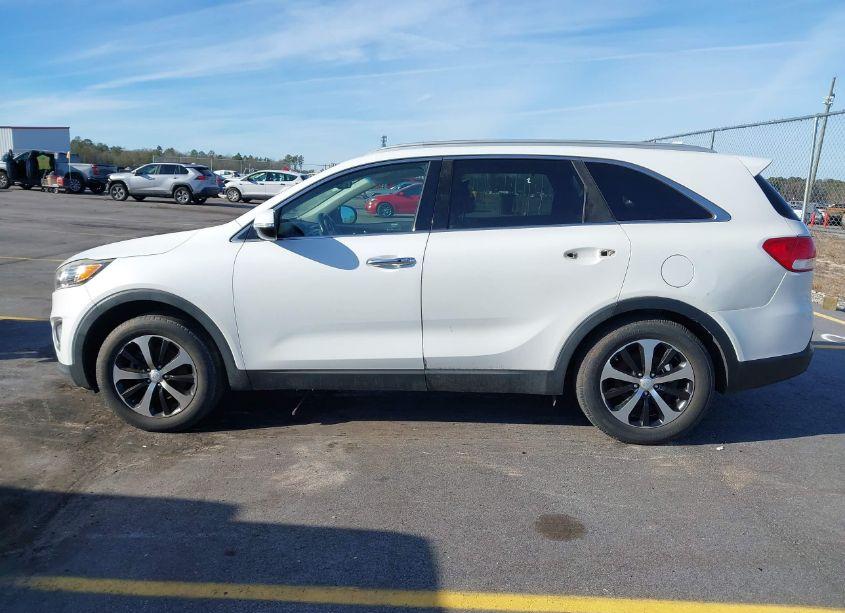 Photo 14 of 2016 Kia Sorento 3.3L EX (VIN 5XYPHDA53GG124681)