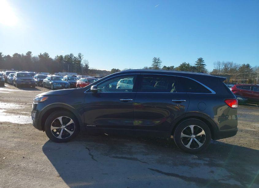 Photo 14 of 2016 Kia Sorento 3.3L EX (VIN 5XYPHDA58GG098496)