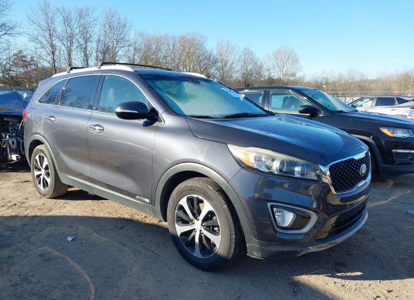 2016 Kia Sorento 3.3L EX (VIN 5XYPHDA59GG020583) main photo
