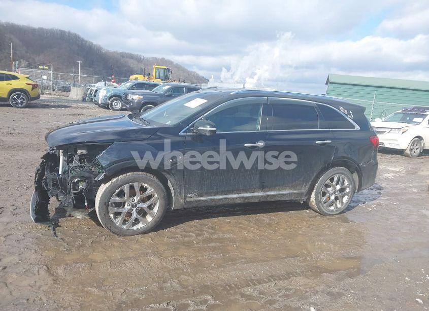 Photo 14 of 2019 Kia Sorento 3.3L SXL (VIN 5XYPKDA51KG462171)