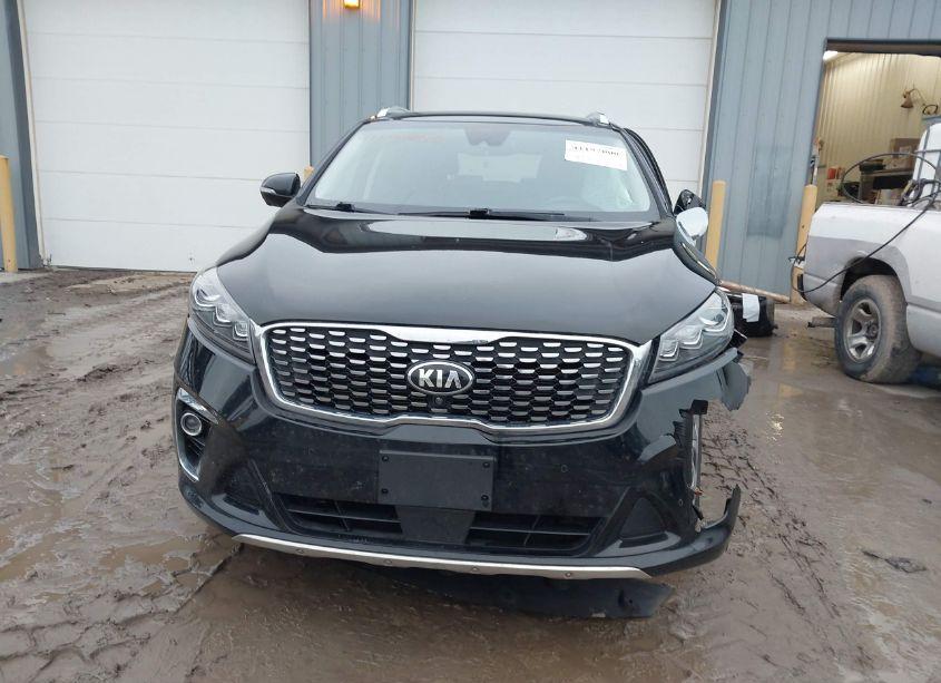 Photo 13 of 2019 Kia Sorento 3.3L SX (VIN 5XYPKDA53KG543396)