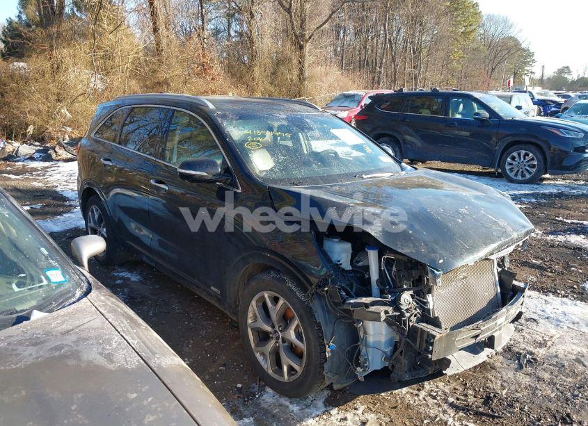 Photo 13 of 2020 Kia Sorento 3.3L SX (VIN 5XYPKDA56LG694332)