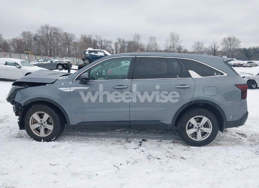 Photo 14 of 2024 Kia Sorento LX (VIN 5XYRG4JC3RG255042)