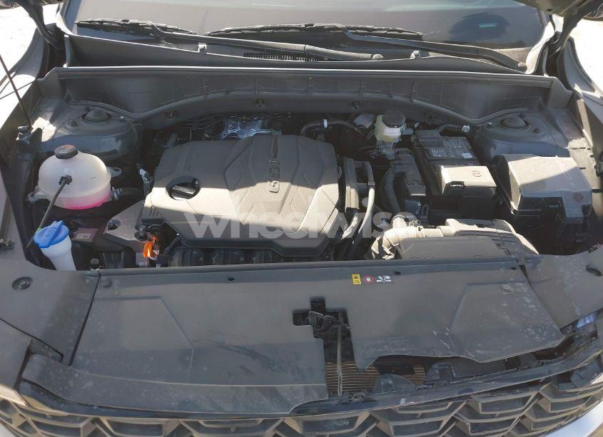 Photo 10 of 2025 Kia Sorento LX (VIN 5XYRG4JC4SG355799)