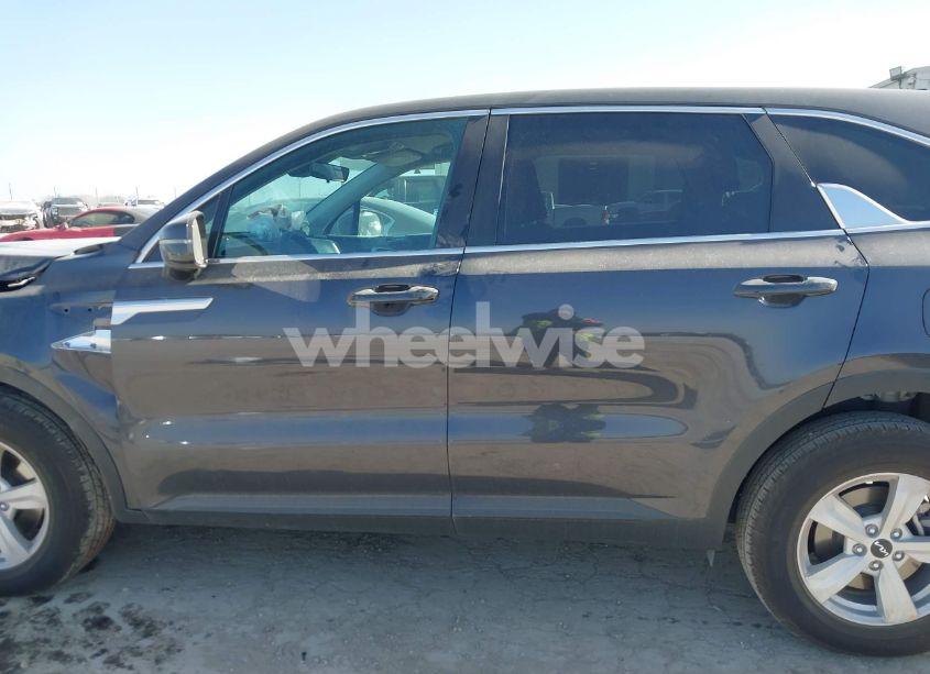 Photo 14 of 2025 Kia Sorento LX (VIN 5XYRG4JC4SG355799)