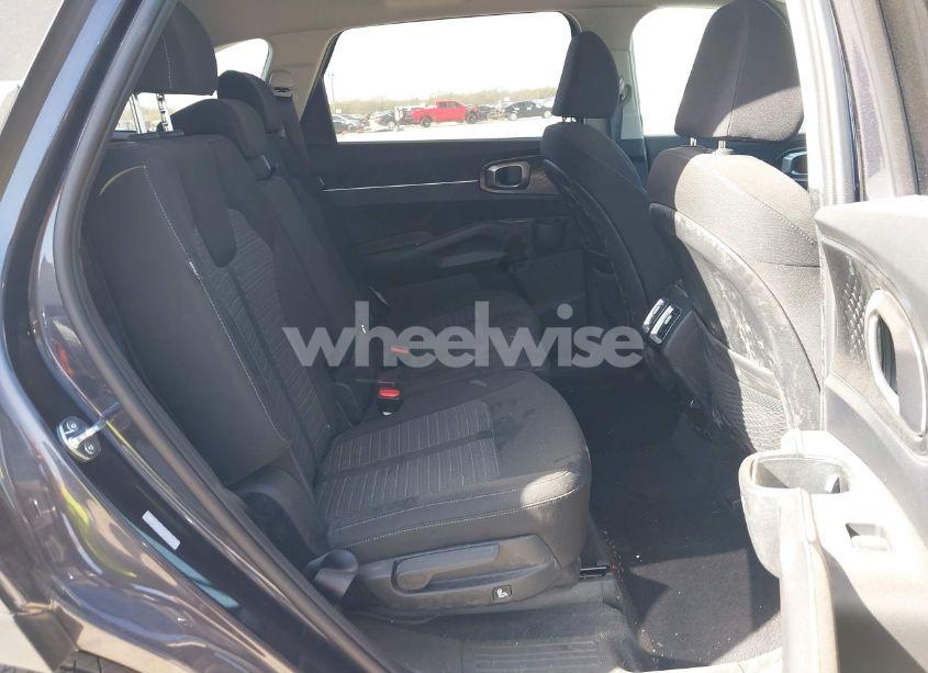Photo 8 of 2025 Kia Sorento LX (VIN 5XYRG4JC4SG355799)