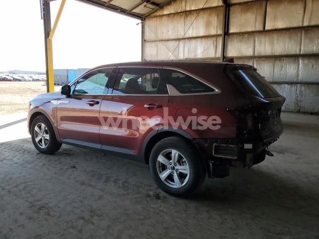 Photo 4 of 2025 KIA SORENTO LX (VIN 5XYRG4JC4SG388561)