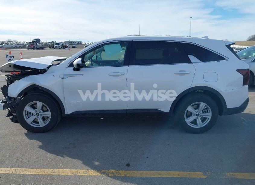 Photo 14 of 2025 Kia Sorento LX (VIN 5XYRG4JC5SG315120)