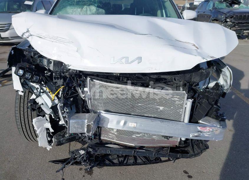 Photo 6 of 2025 Kia Sorento LX (VIN 5XYRG4JC5SG315120)