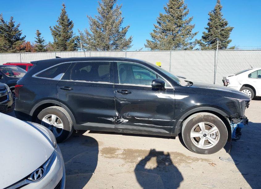 Photo 13 of 2024 Kia Sorento LX (VIN 5XYRG4JC7RG308793)