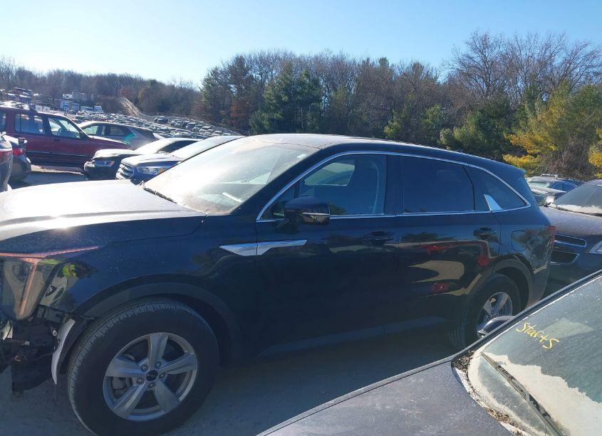Photo 14 of 2024 Kia Sorento LX (VIN 5XYRG4JC7RG308793)