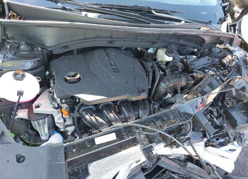 Photo 10 of 2024 Kia Sorento LX (VIN 5XYRG4JC8RG293902)