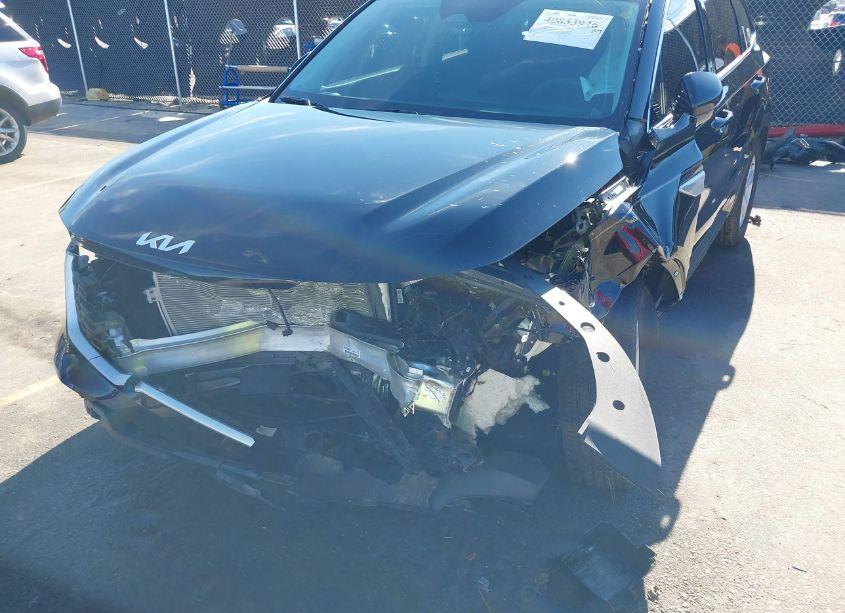 Photo 6 of 2024 Kia Sorento LX (VIN 5XYRG4JC8RG293902)