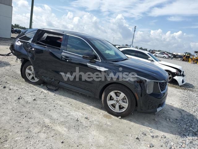 Photo 10 of 2024 KIA SORENTO LX (VIN 5XYRG4JC8RG306468)