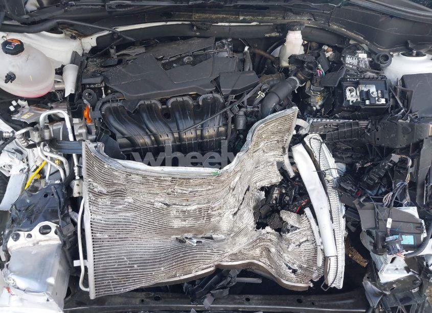 Photo 10 of 2024 Kia Sorento LX (VIN 5XYRG4JC9RG257782)