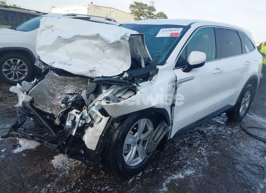 Photo 2 of 2024 Kia Sorento LX (VIN 5XYRG4JC9RG257782)