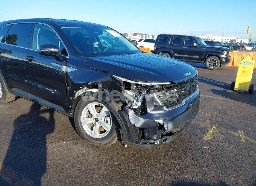 Photo 6 of 2025 Kia Sorento LX (VIN 5XYRG4JC9SG350436)