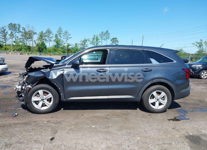 Photo 13 of 2021 Kia Sorento LX (VIN 5XYRG4LC2MG018015)