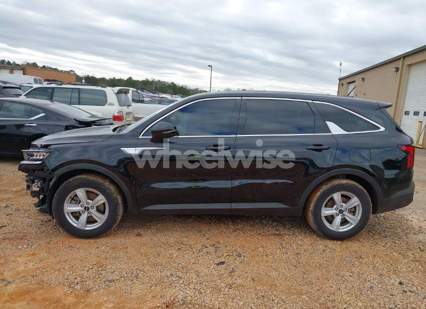 Photo 14 of 2023 Kia Sorento LX (VIN 5XYRG4LC3PG170888)