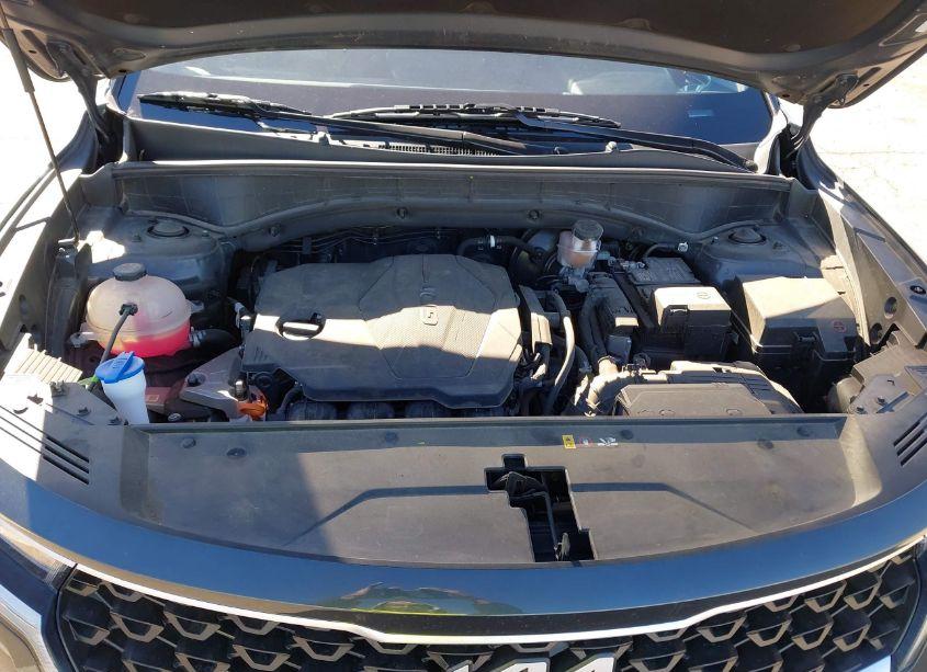 Photo 10 of 2023 Kia Sorento LX (VIN 5XYRG4LC3PG209446)