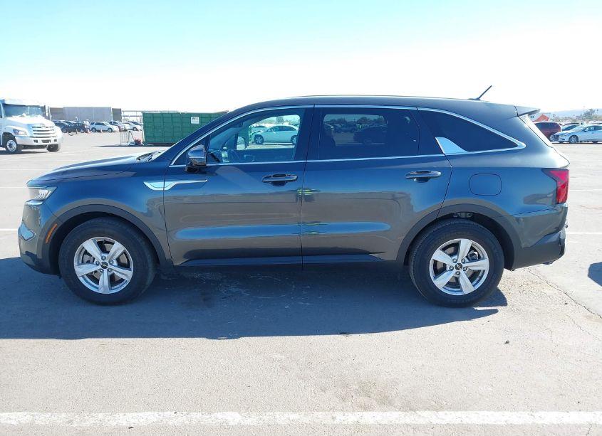 Photo 14 of 2023 Kia Sorento LX (VIN 5XYRG4LC3PG209446)