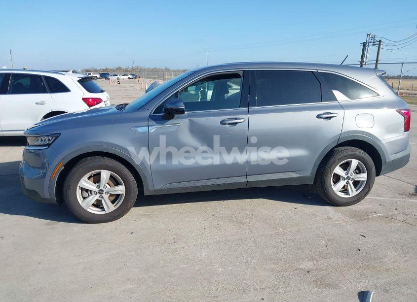 Photo 13 of 2022 Kia Sorento LX (VIN 5XYRG4LC4NG136813)