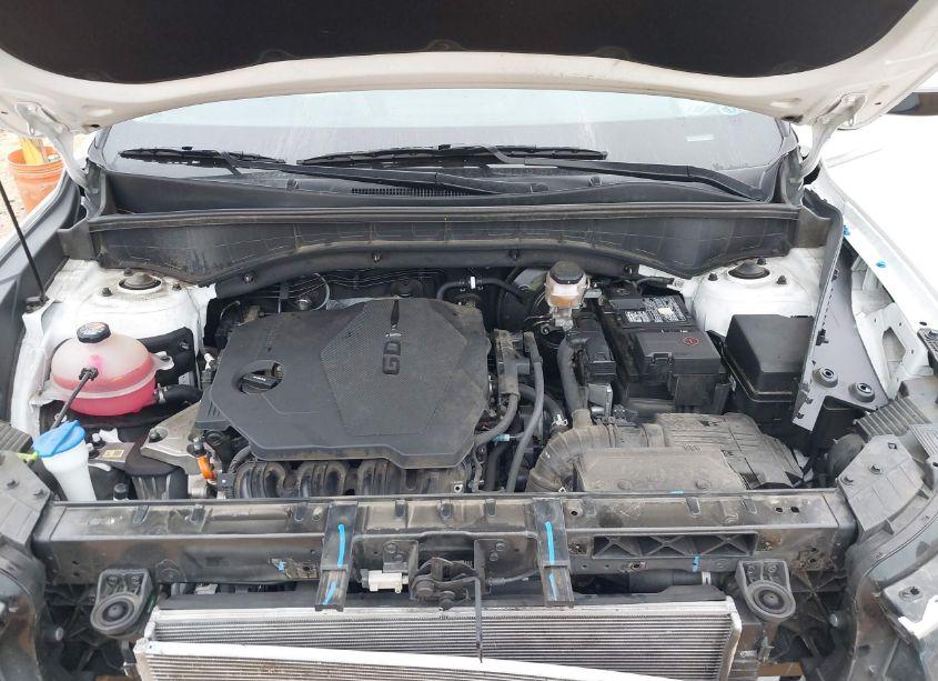 Photo 10 of 2023 Kia Sorento LX (VIN 5XYRG4LC4PG178109)