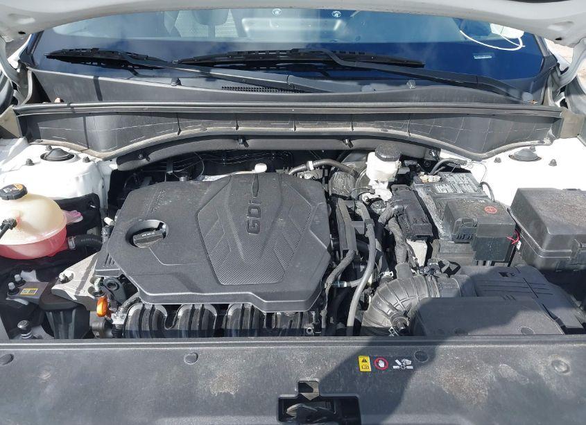 Photo 10 of 2021 Kia Sorento LX (VIN 5XYRG4LC5MG016016)