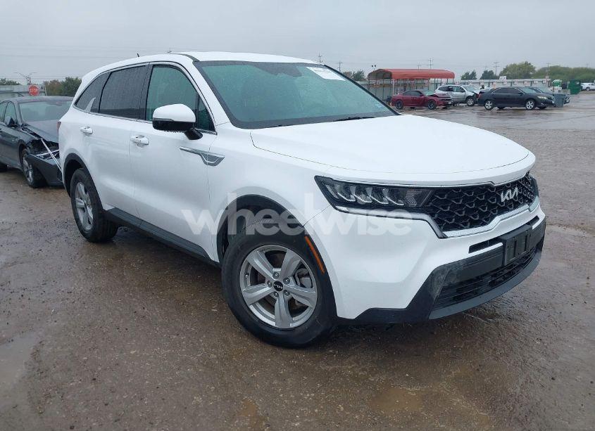 2023 Kia Sorento LX (VIN 5XYRG4LC5PG166163) main photo