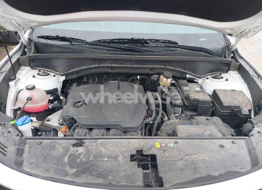 Photo 10 of 2023 Kia Sorento LX (VIN 5XYRG4LC5PG166163)