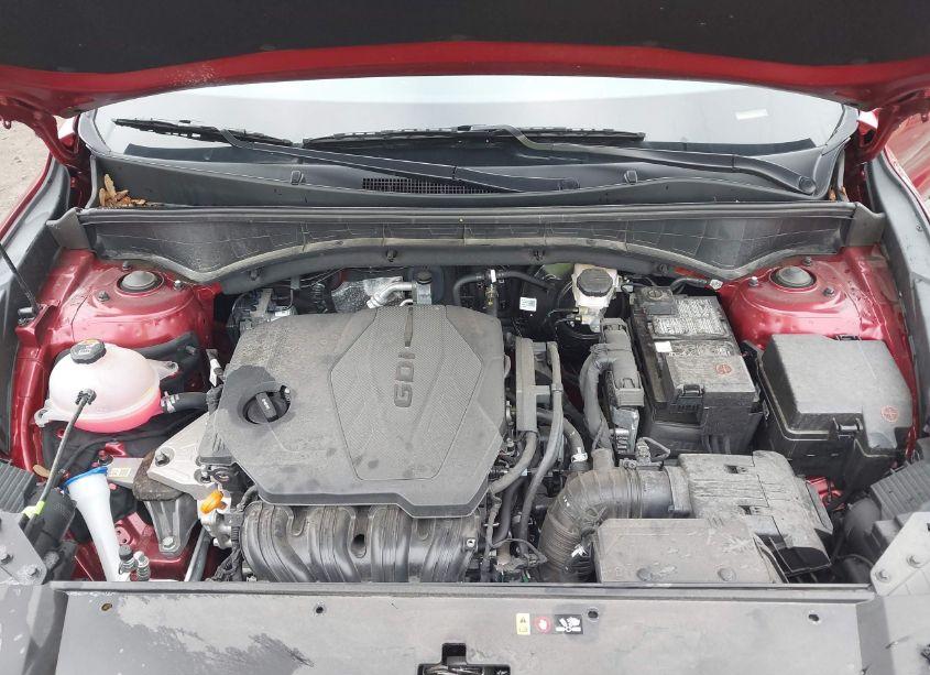 Photo 10 of 2023 Kia Sorento LX (VIN 5XYRG4LC6PG194148)