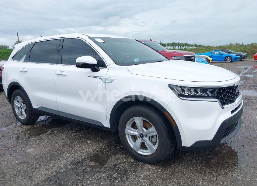 2023 Kia Sorento LX (VIN 5XYRG4LC6PG215435) main photo