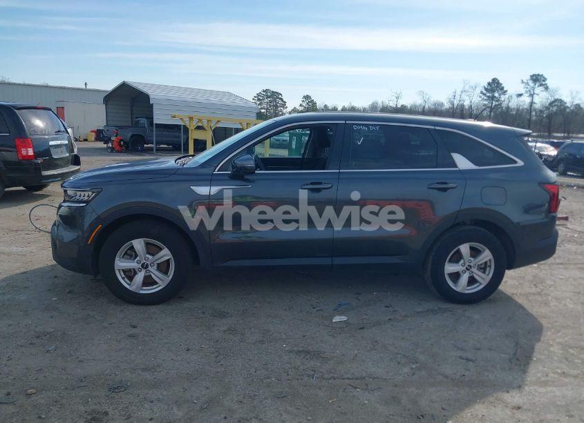 Photo 14 of 2023 Kia Sorento LX (VIN 5XYRG4LC7PG205397)