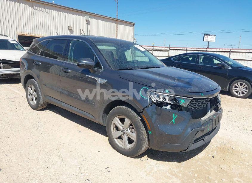 2023 Kia Sorento LX (VIN 5XYRG4LC9PG202159) main photo