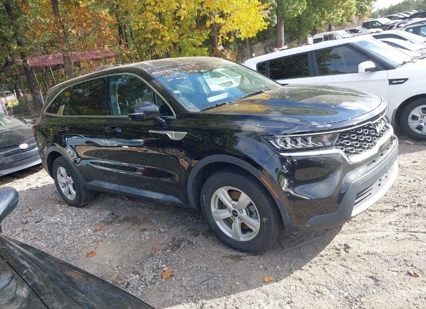 Photo 14 of 2022 Kia Sorento LX (VIN 5XYRG4LCXNG103749)