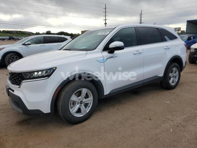 2023 KIA SORENTO LX (VIN 5XYRGDLC0PG165406) main photo